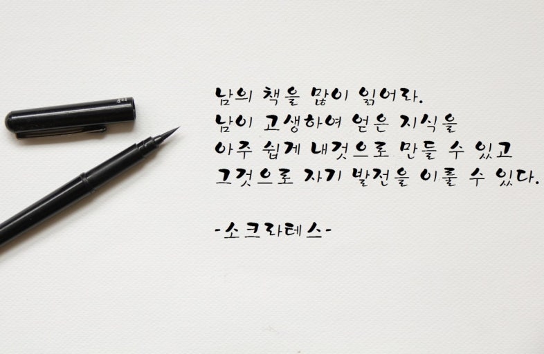 리드인분당수내점디베이뜰독서토론학원